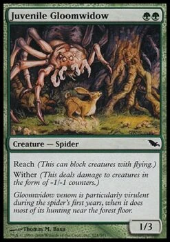Wizards Of The Coast Magic: Shadowmoor 121: Juvenile Gloomwidow - Foil